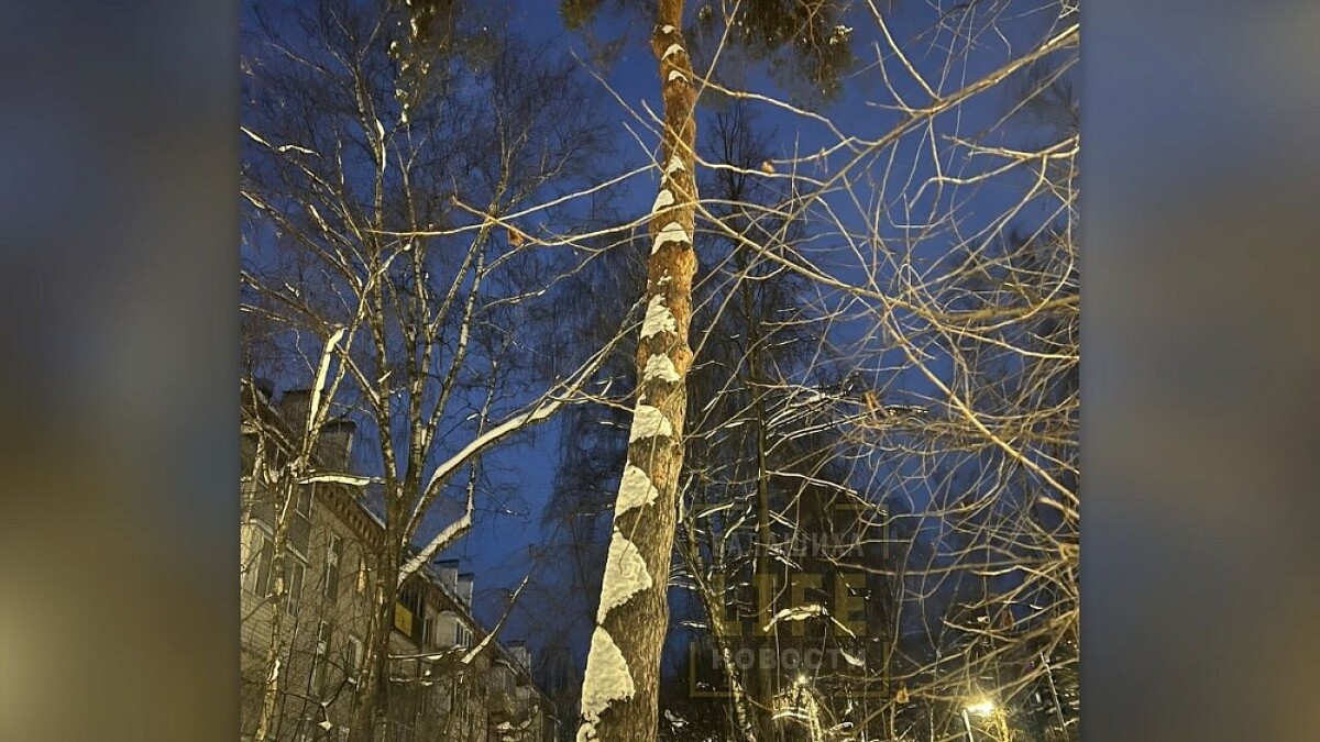    Фото: «В Балашихе | Все новости»