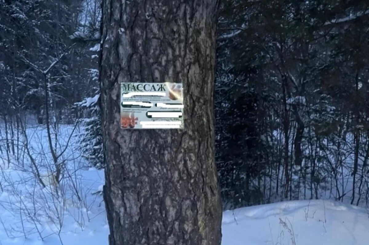    Нацпарк «Таганай» пожаловался на прибитую гвоздём рекламу массажного салона