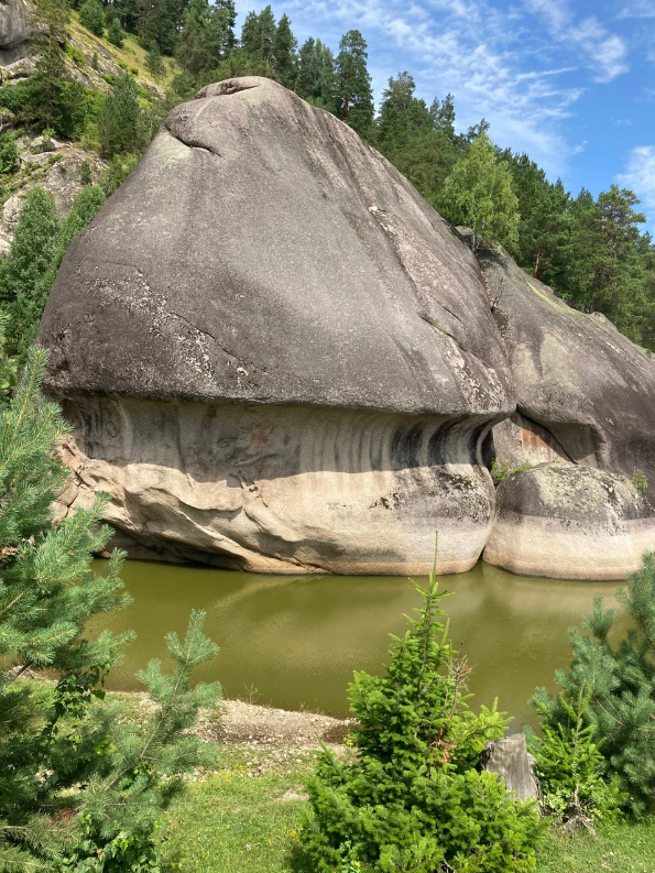 Голова кита