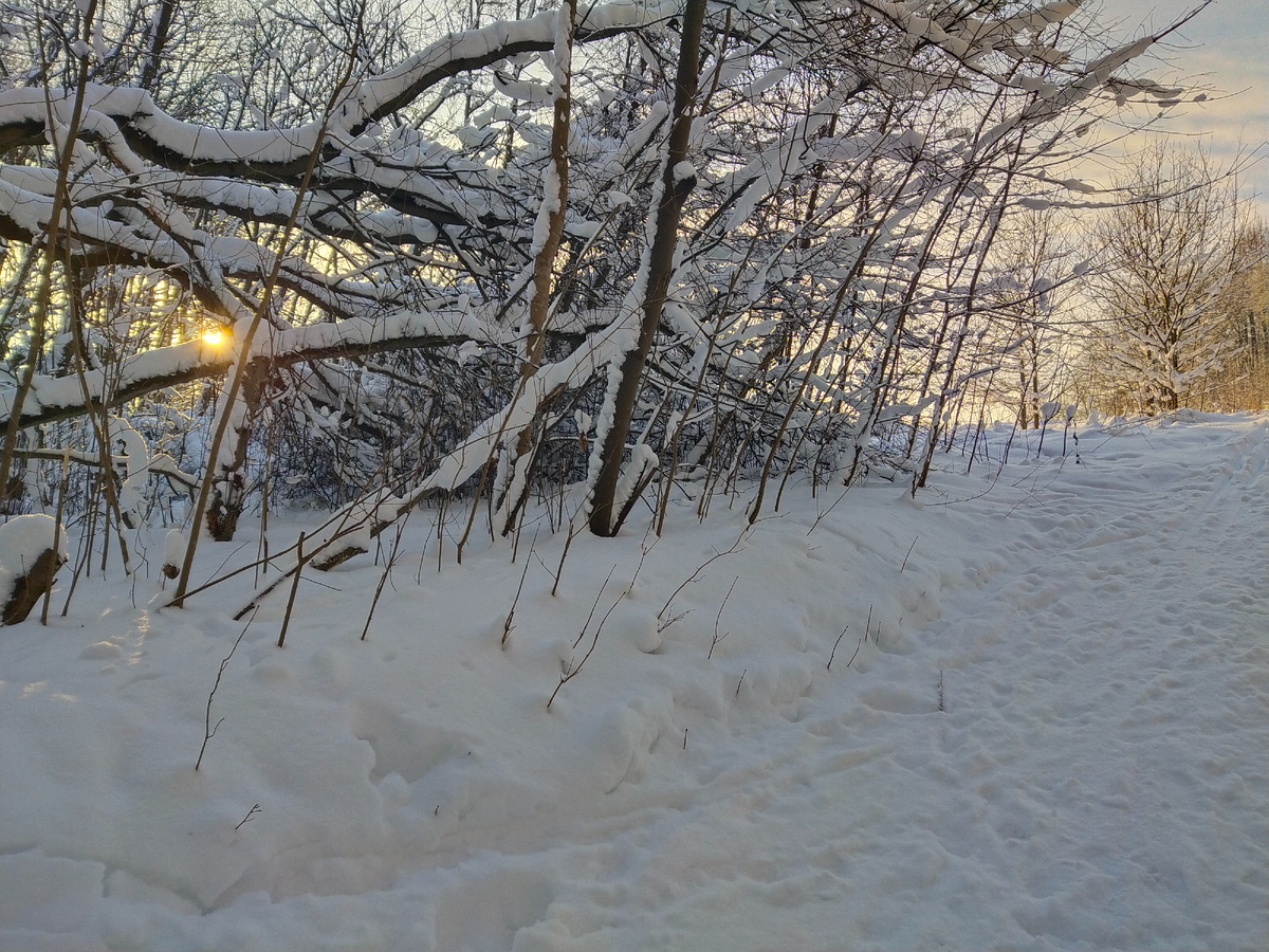 Личное фото