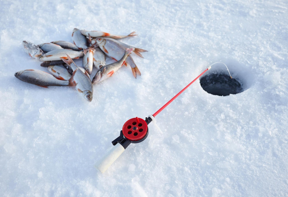    Shutterstock/FOTODOM