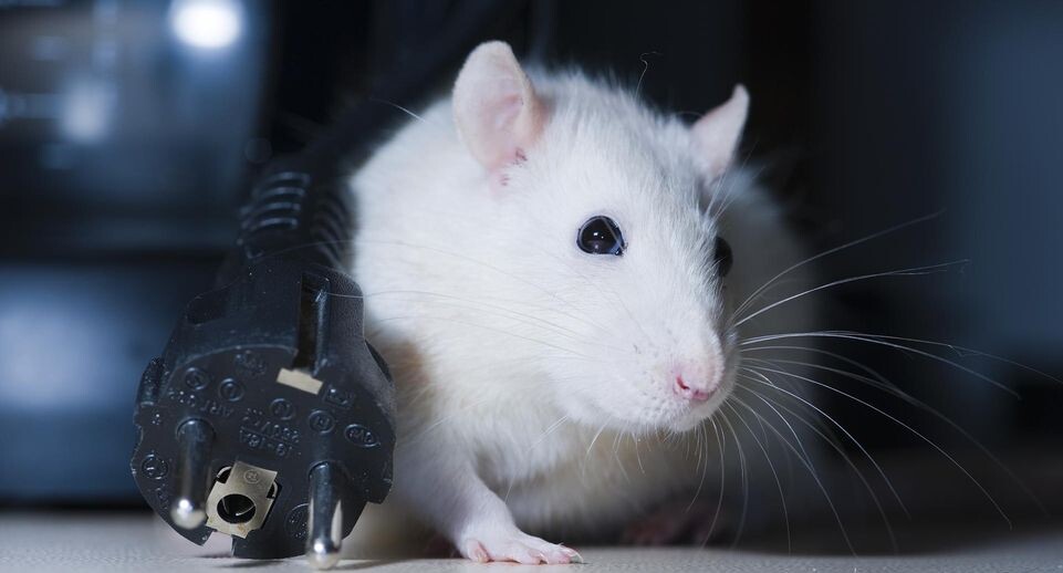    Monika Baumann/CHROMORANGE / www.globallookpress.com