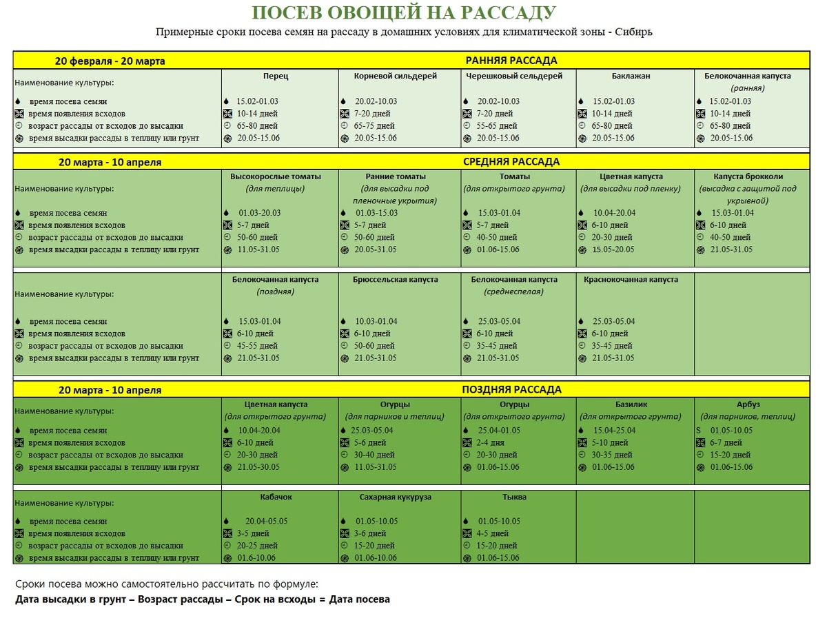 Примерные сроки посева семян на рассаду в домашних условиях для климатической зоны - Сибирь