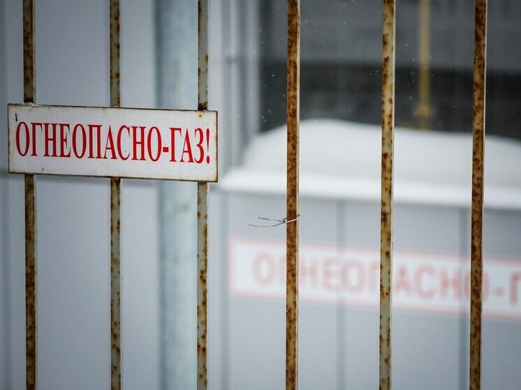     Фото: Roman Naumov/URA.RU/Global Look Press