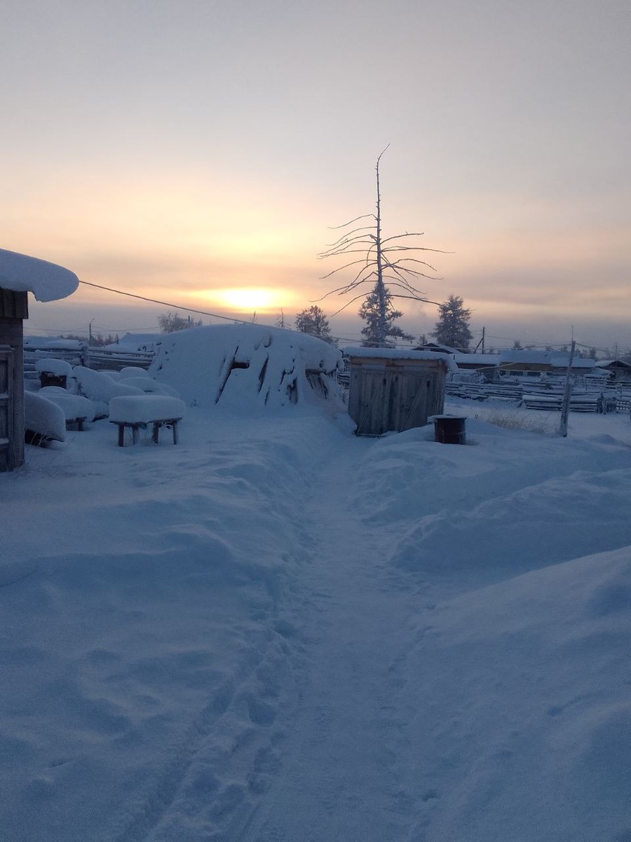 Якутия, 2025 год январь. На снимке якутский хотон.