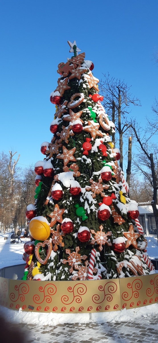 Наши ростовские ёлочки.