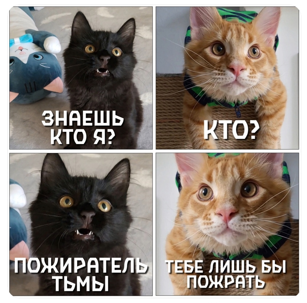 Картинка из открытых источников 