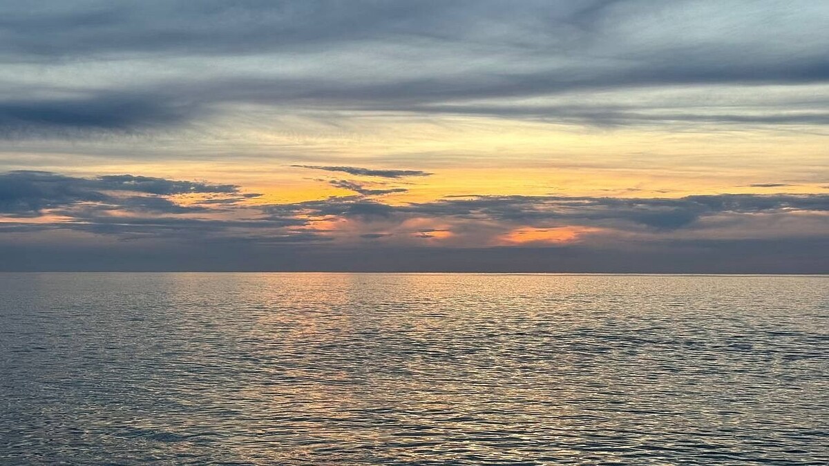    Фото: телеканал «Краснодар»