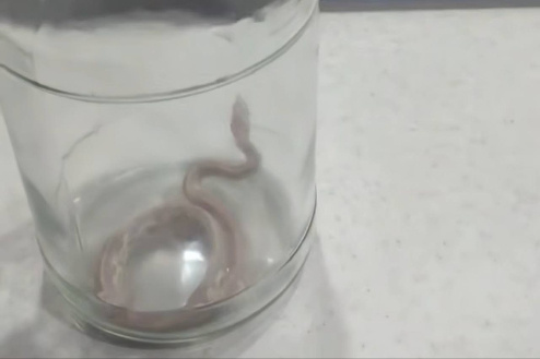    Фото: ГКУ НСО "Центр ГО, ЧС и ПБ"