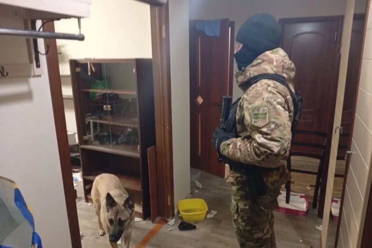    В Иркутске бывшую супругу с тремя собаками и хламом выселили из квартиры