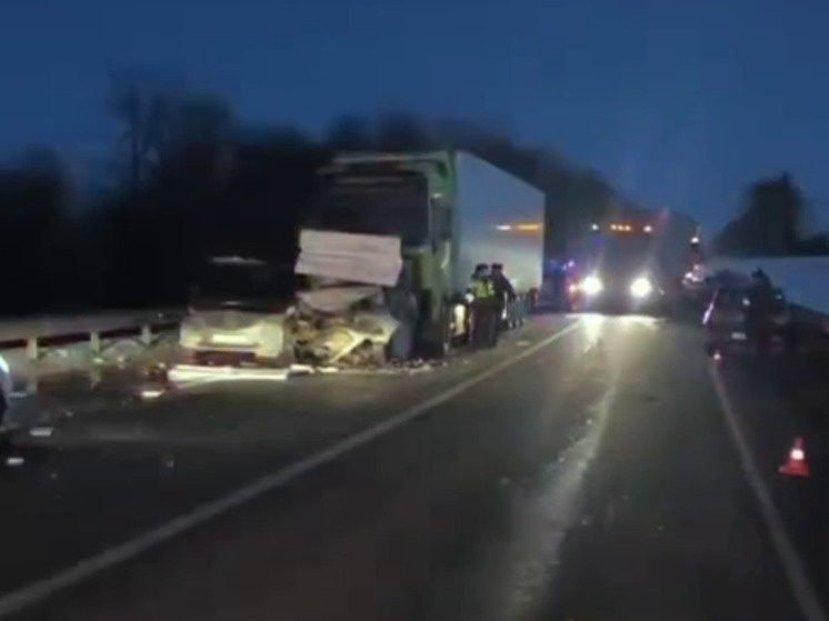     Фото: скриншот