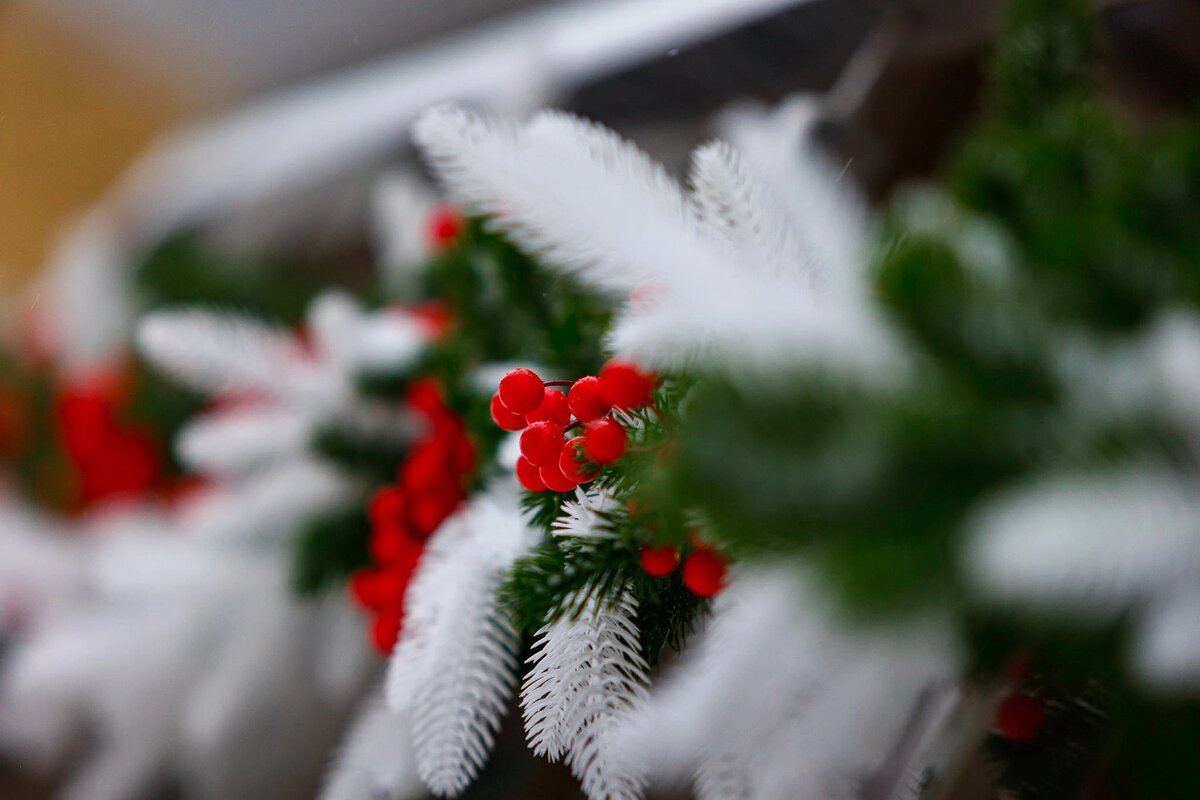    Фото: Антон Вергун
