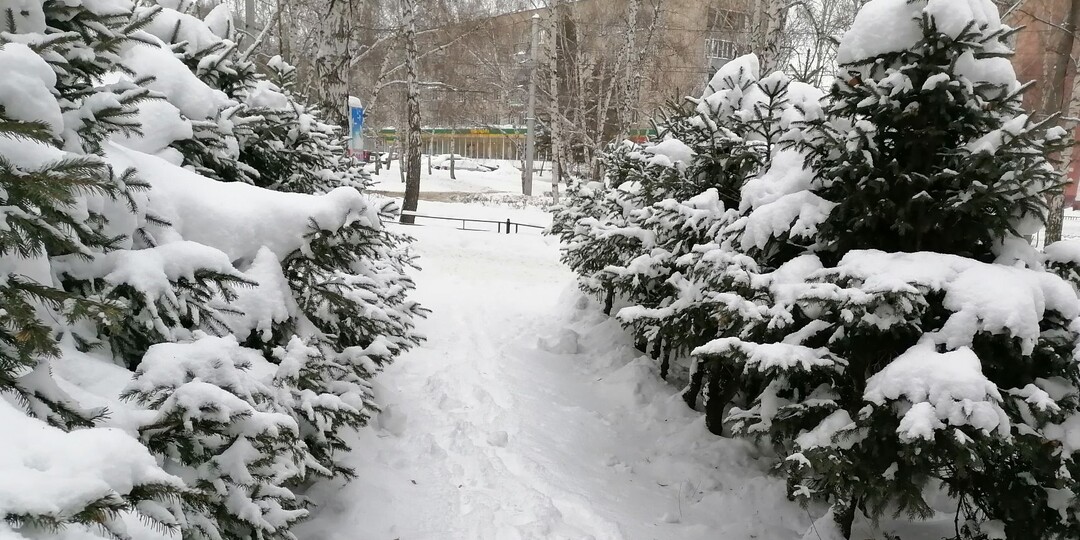 Нужна ли нам сиделка или материальная помощь?