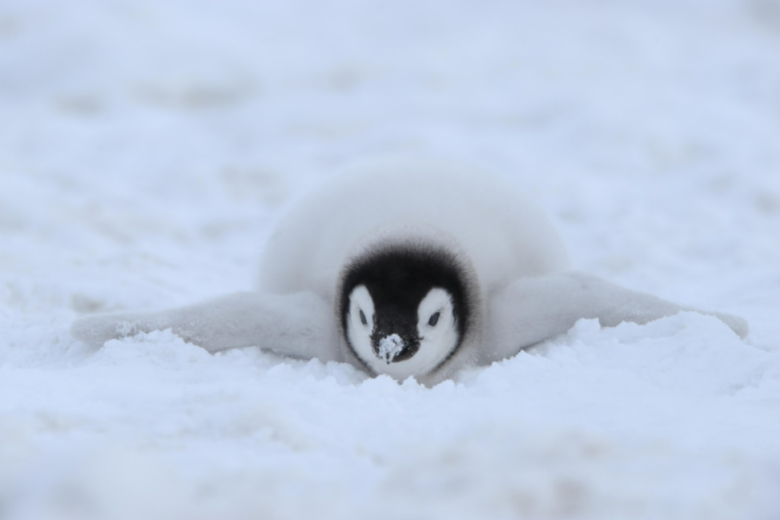    Raimund Linke/imagebroker.com/Global Look Press