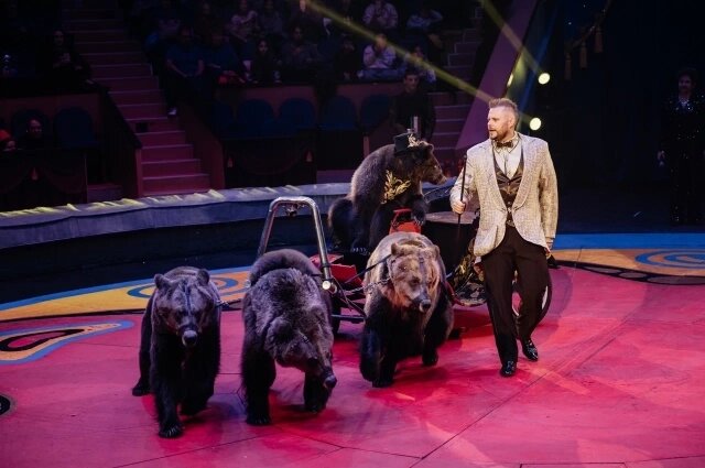    Александр Филатов с медведями. Фото: Цирк Филатовых