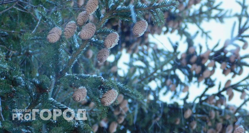    автор Вячеслав Вольгин