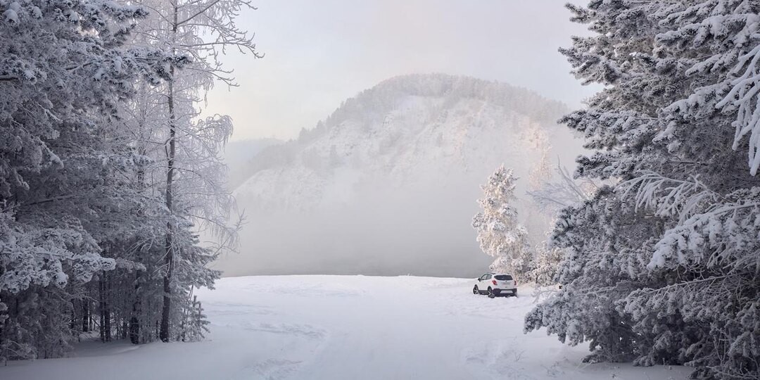 Морозный берег, зачарованный или сказочный лес - по-разному называют это место в Дивногорке в зимнее время