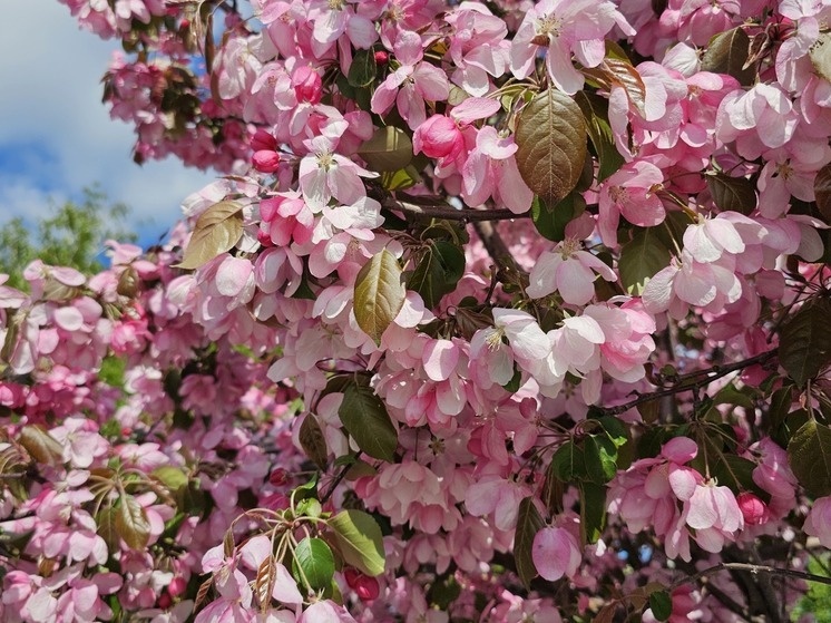     Фото: Сиб.фм