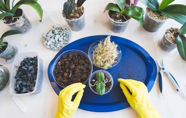 фото 123RF/savmaster