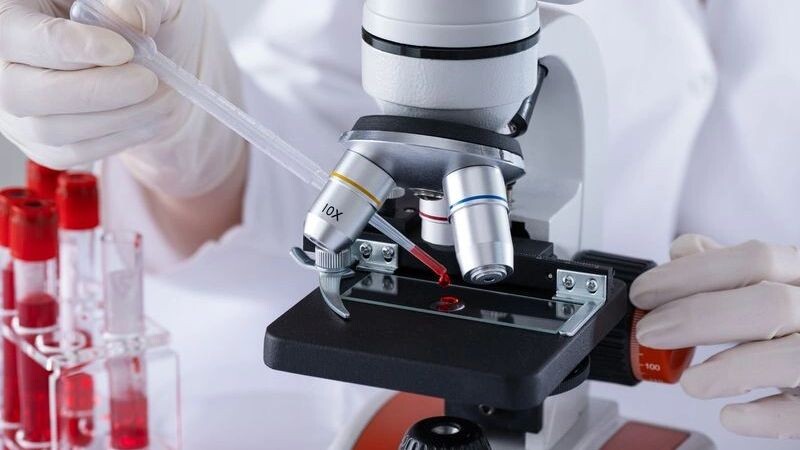    Фото: Inna Dodor/Shutterstock/Fotodom