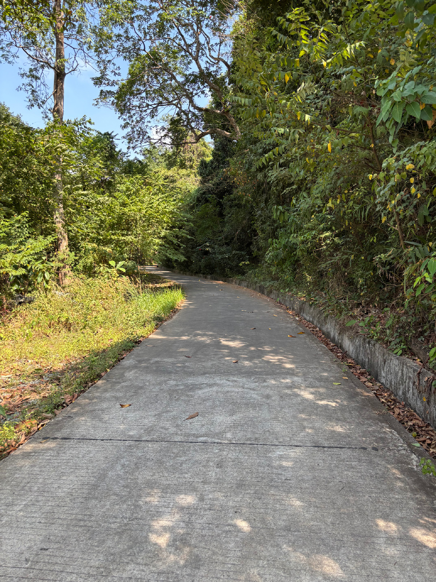 Бетонная дорога через джунгли — больше прогулка, чем поход.