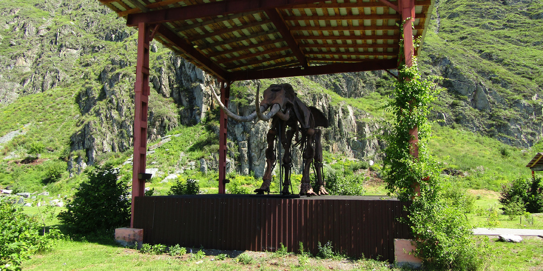 Палеопарк на Алтае