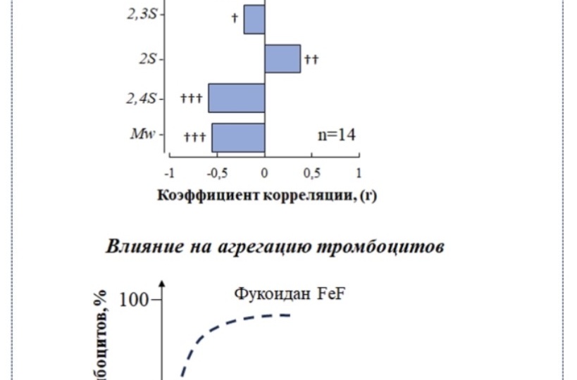 Ученые создали безопасный морской антикоагулянт из водорослей фукуса.