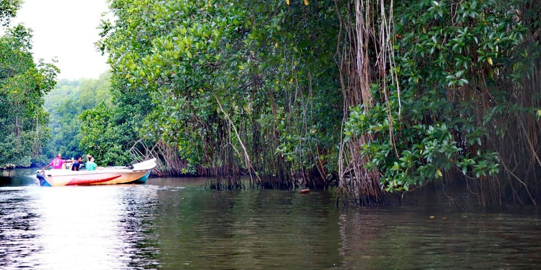 Речное сафари по реке Бентота на о. Шри-Ланка