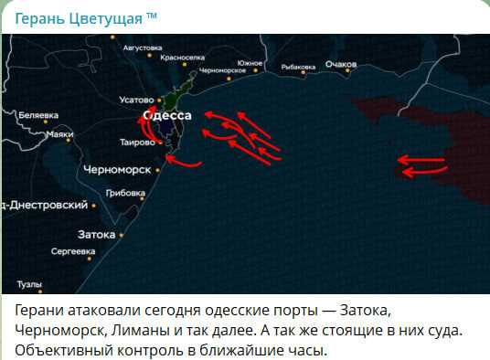    Скриншот с канала "Герань Цветущая"