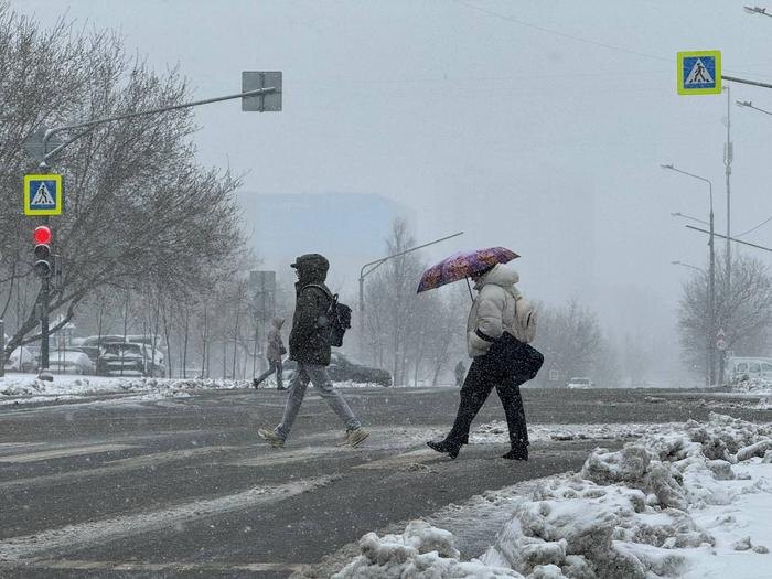 Обложка © Life.ru