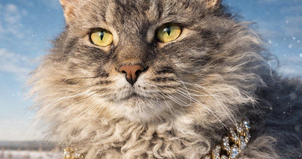 Душа, полная страсти и загадок