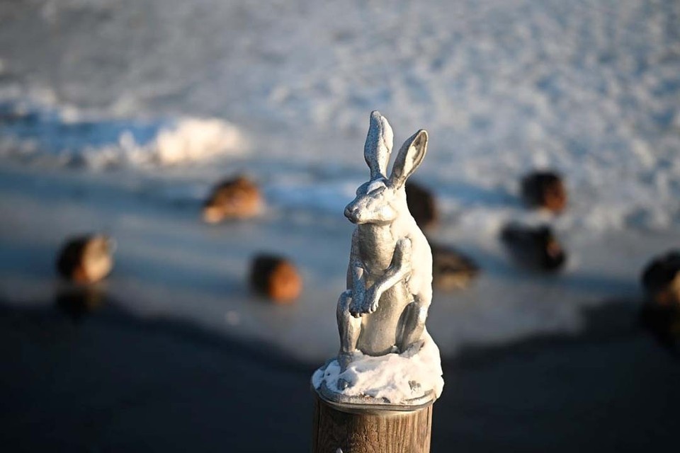    Аномальные холода пока задержатся. Алексей БУЛАТОВ