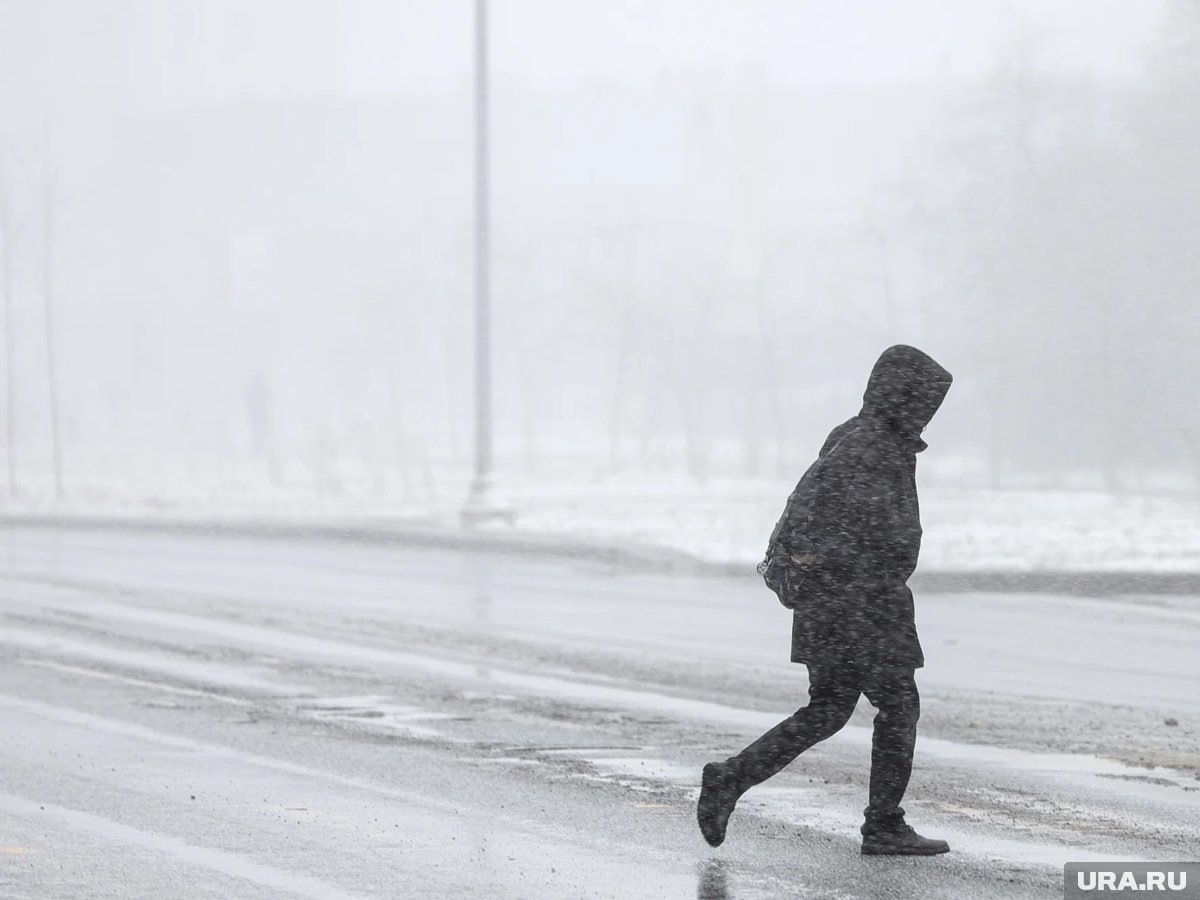     Мощна зимняя буря погубила не менее 30 человек в США