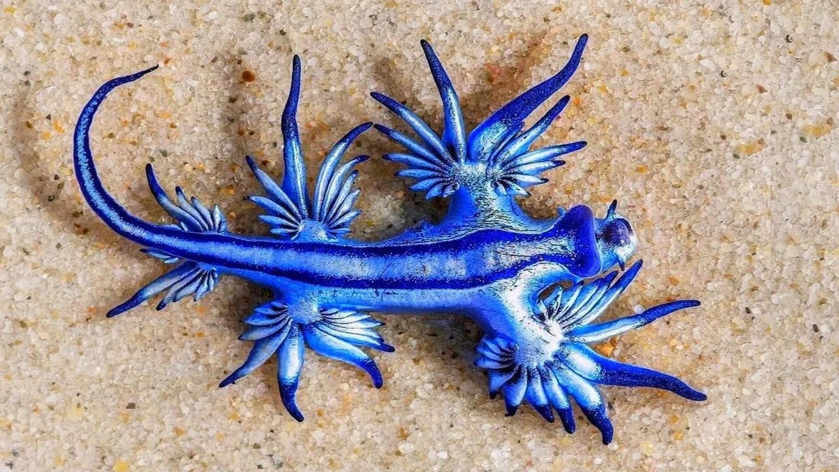 Фотография из интернета