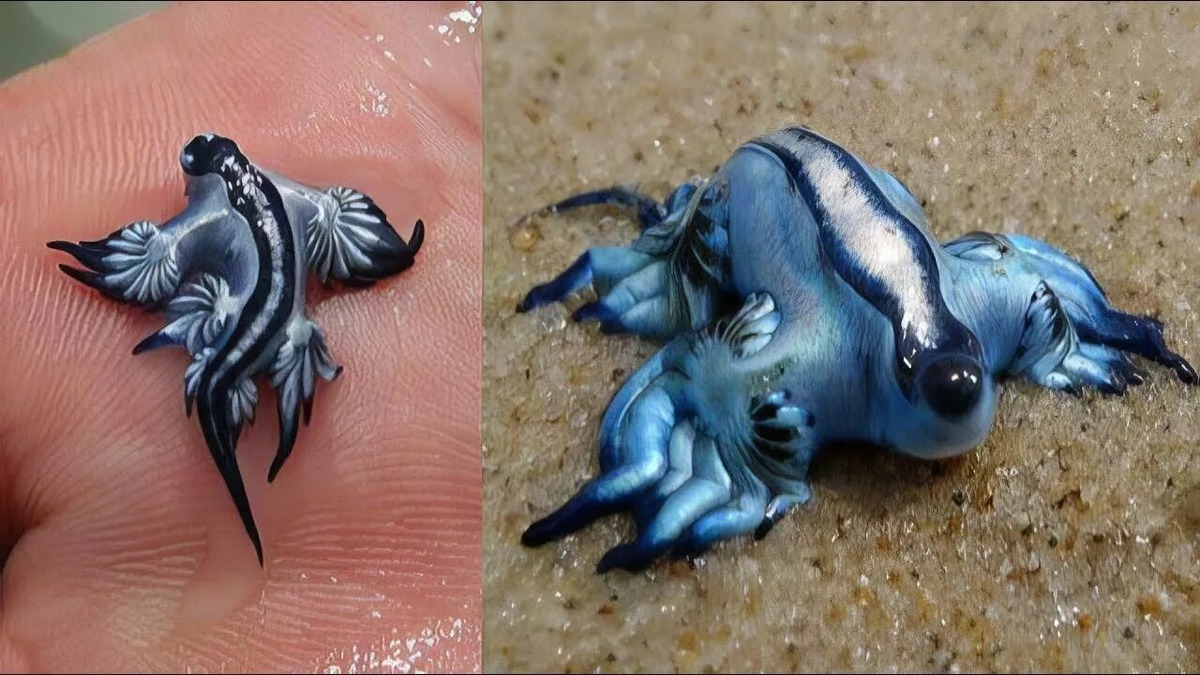 Фотография из интернета