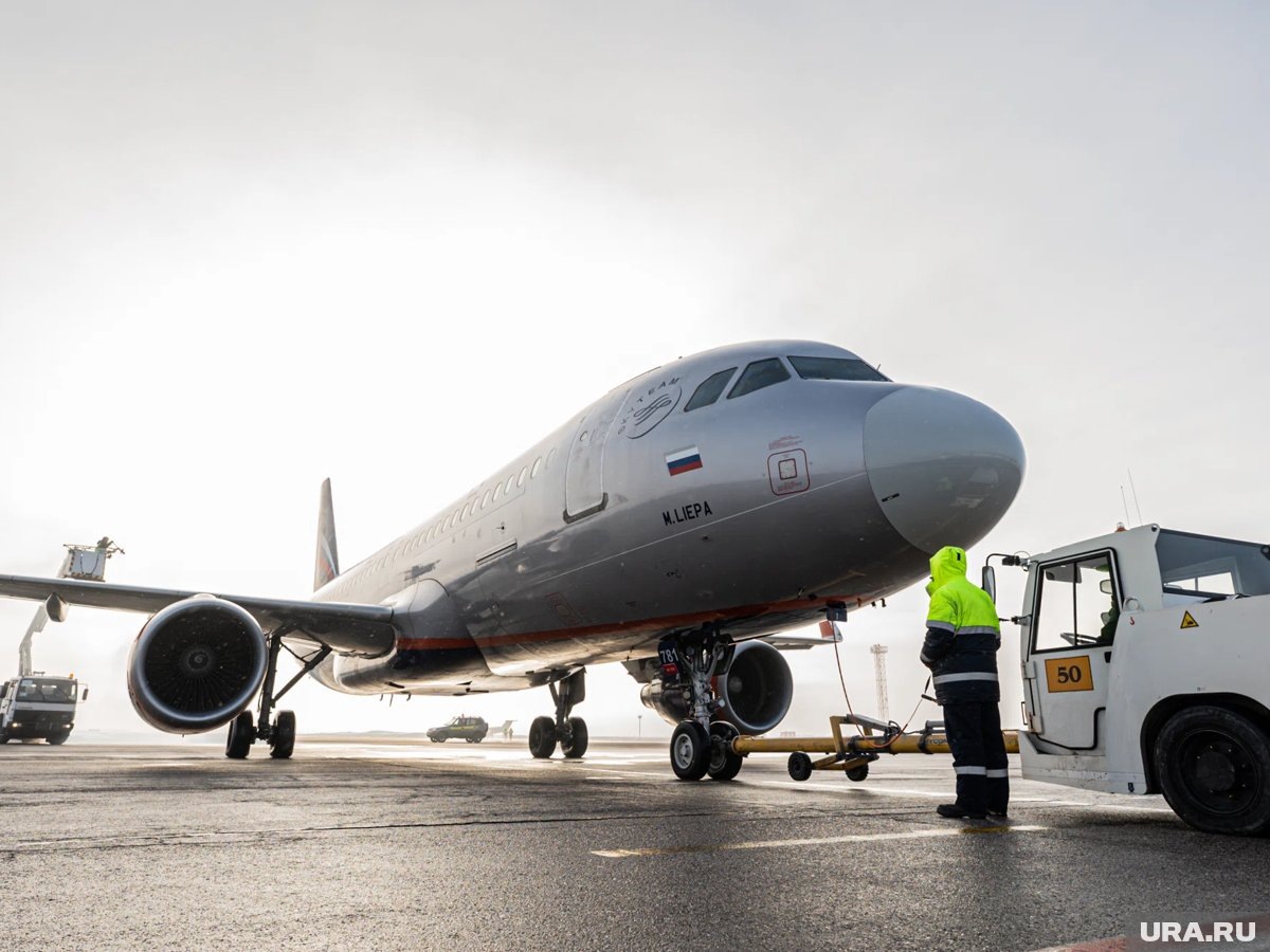     27 января в крупных аэропортах задерживают рейсы на прилет и вылет