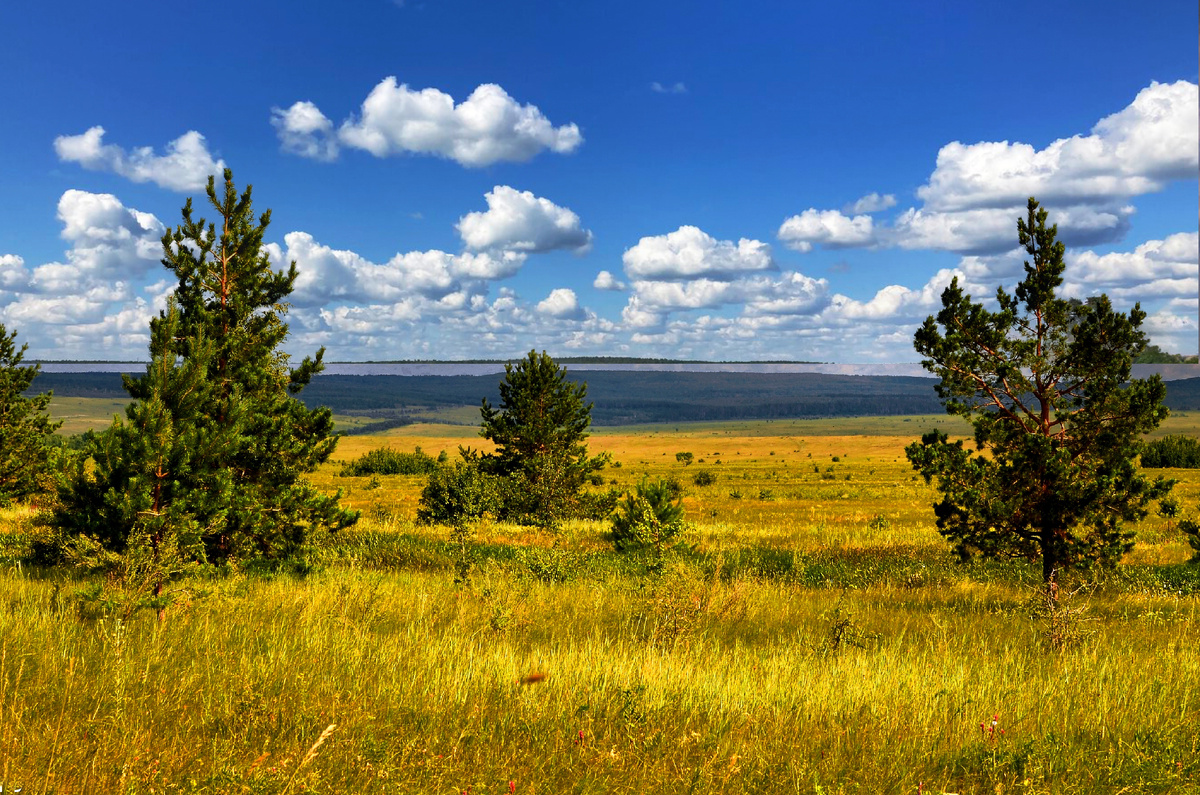 Широкие просторы Вольского района.
