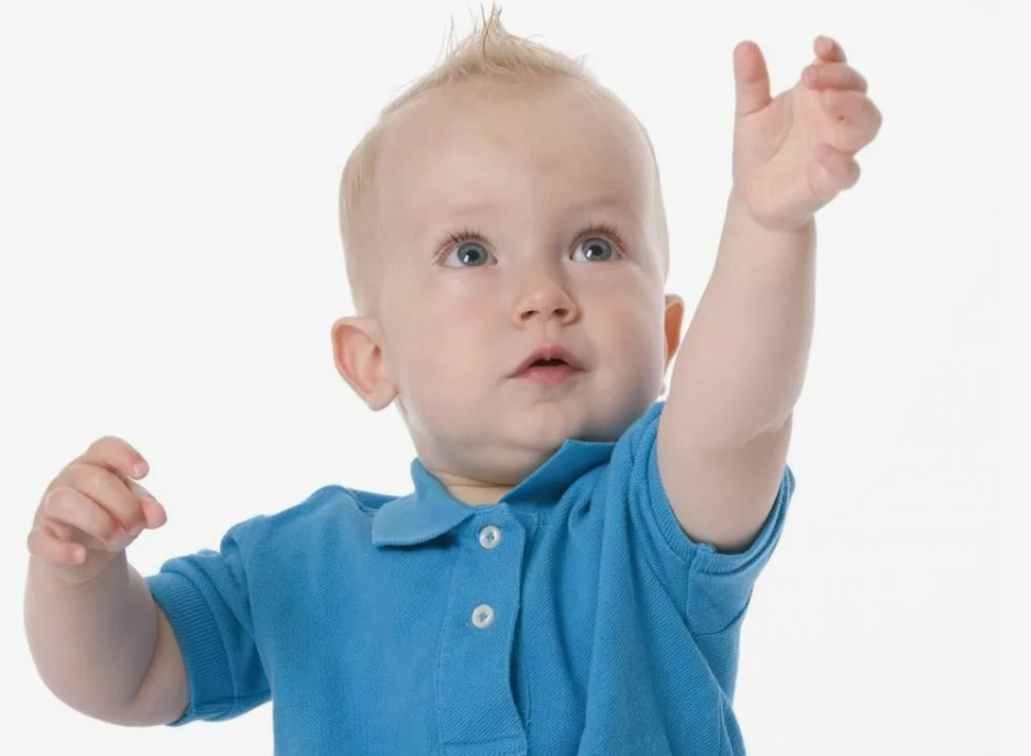 фото из интернета