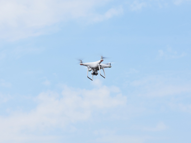     standret/freepik.com