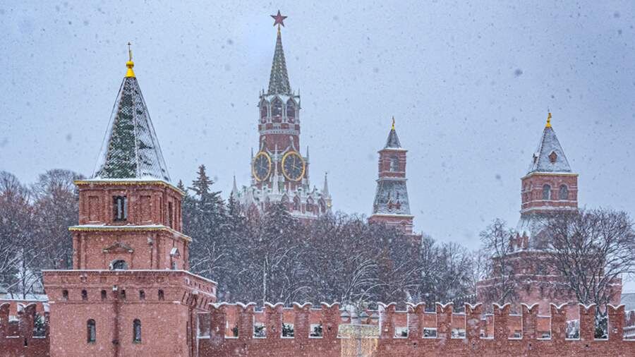    Фото: ИЗВЕСТИЯ/Константин Кокошкин