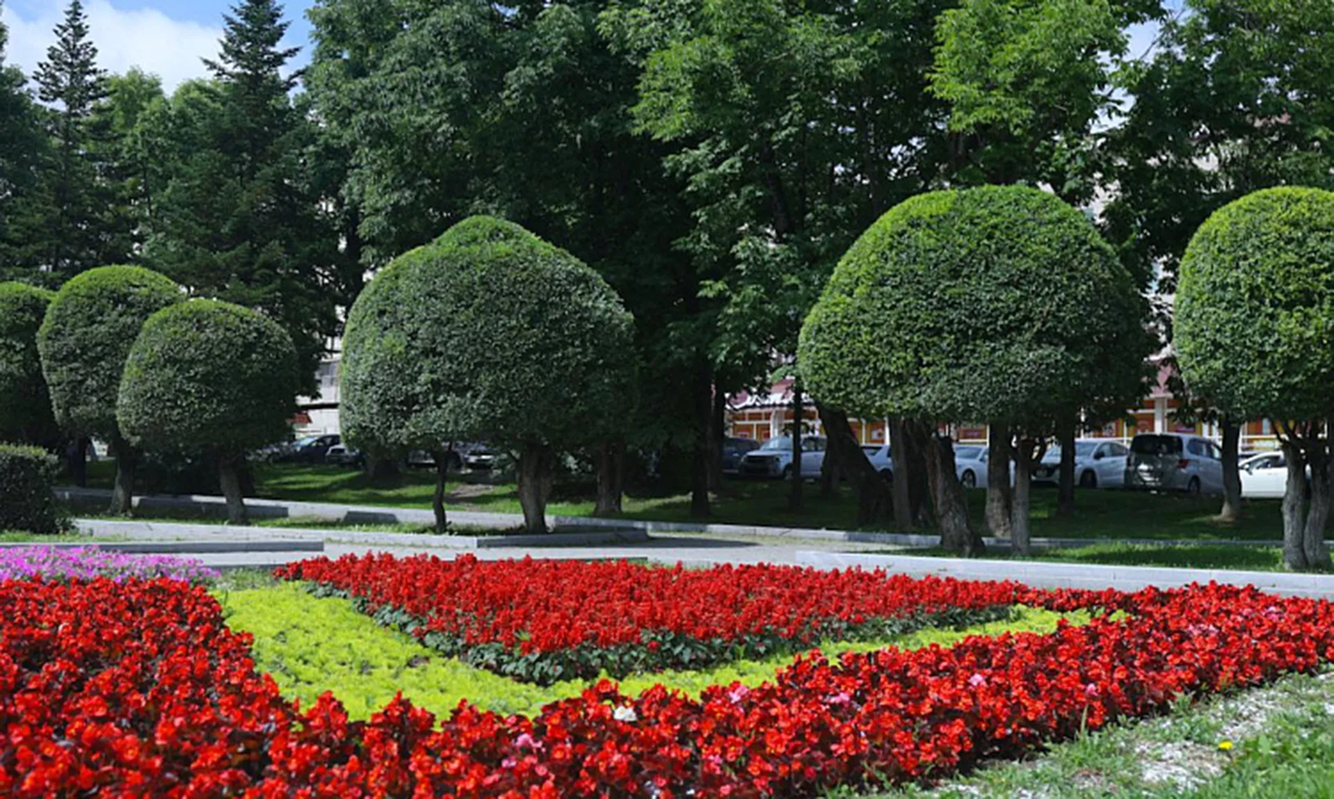 Источник: https://национальныепроекты.рф/news/v-23-munitsipalitetakh-primorya-v-2026-godu-blagoustroyat-parki-i-skvery/