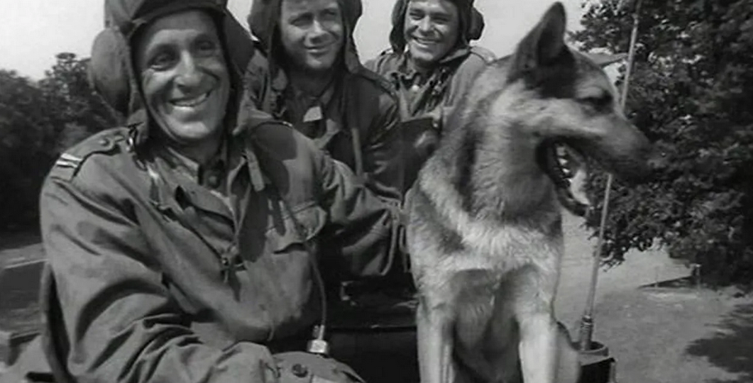 Многосерийные фильмы из Польши, показанные на советском ТВ. Часть 1