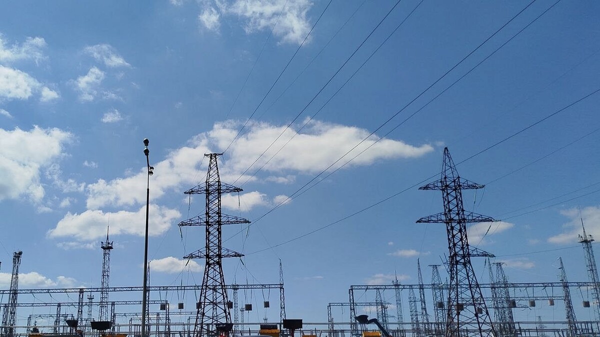    Фото: телеканал «Краснодар»