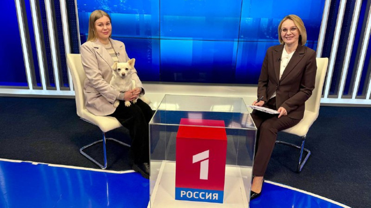    Для братьев наших меньших