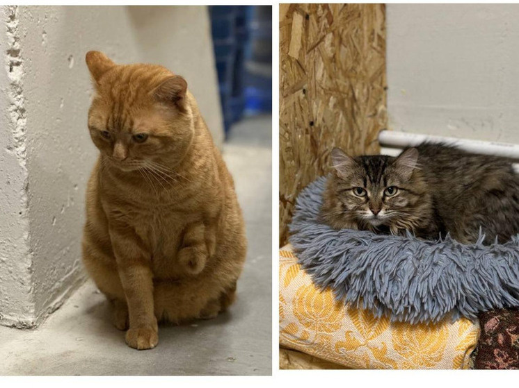     Фото: Сиб.фм