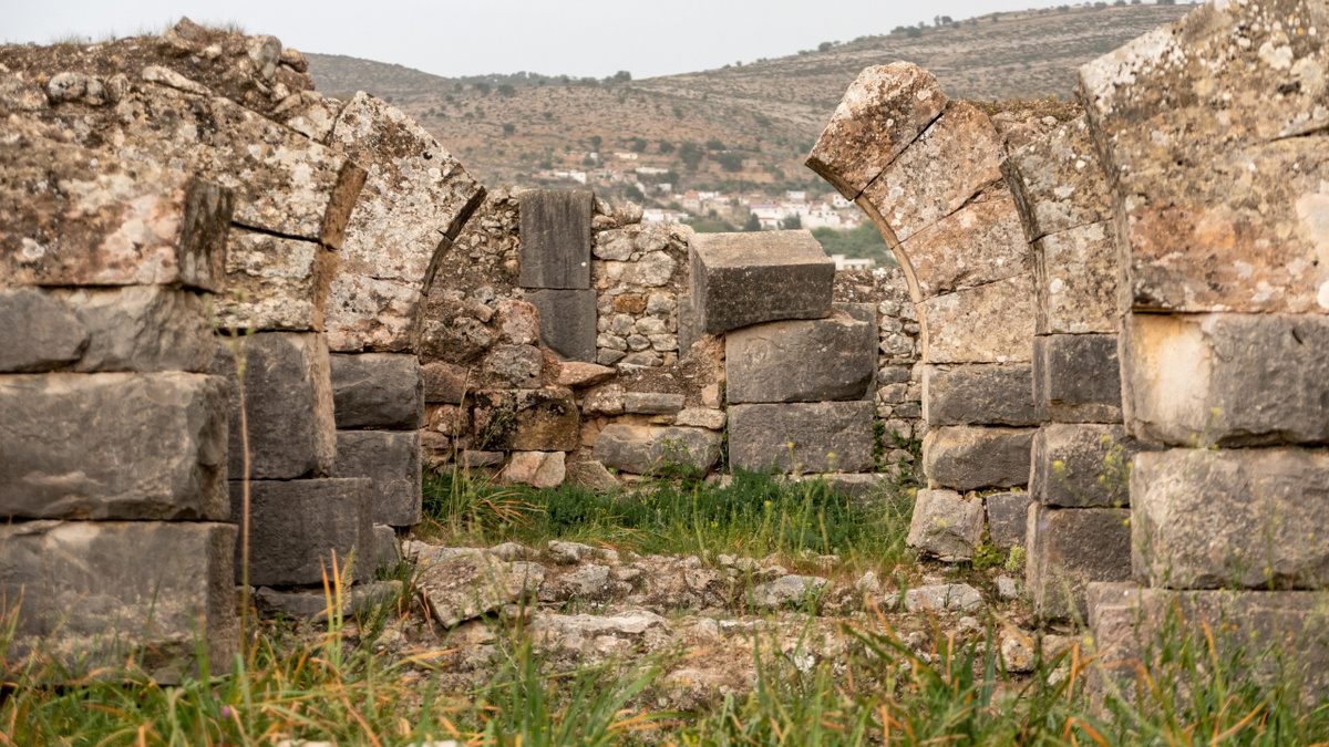     Фото: imagoDens/Shutterstock/FOTODOM