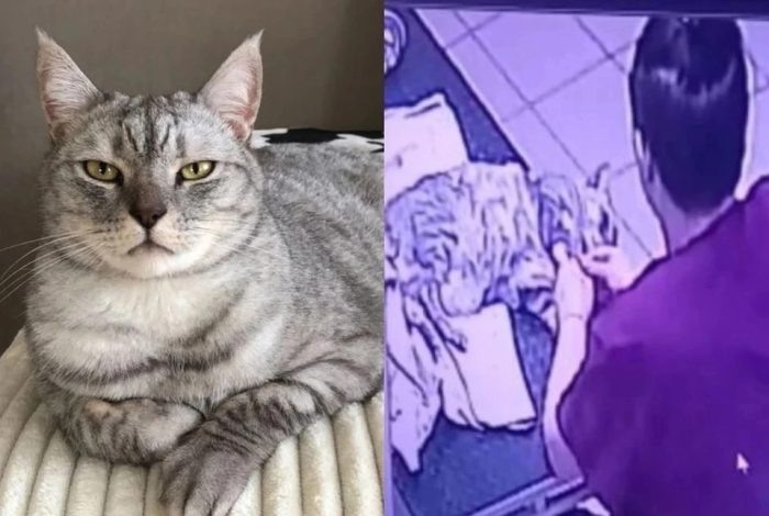 Изображение: «КП-Новосибирск».