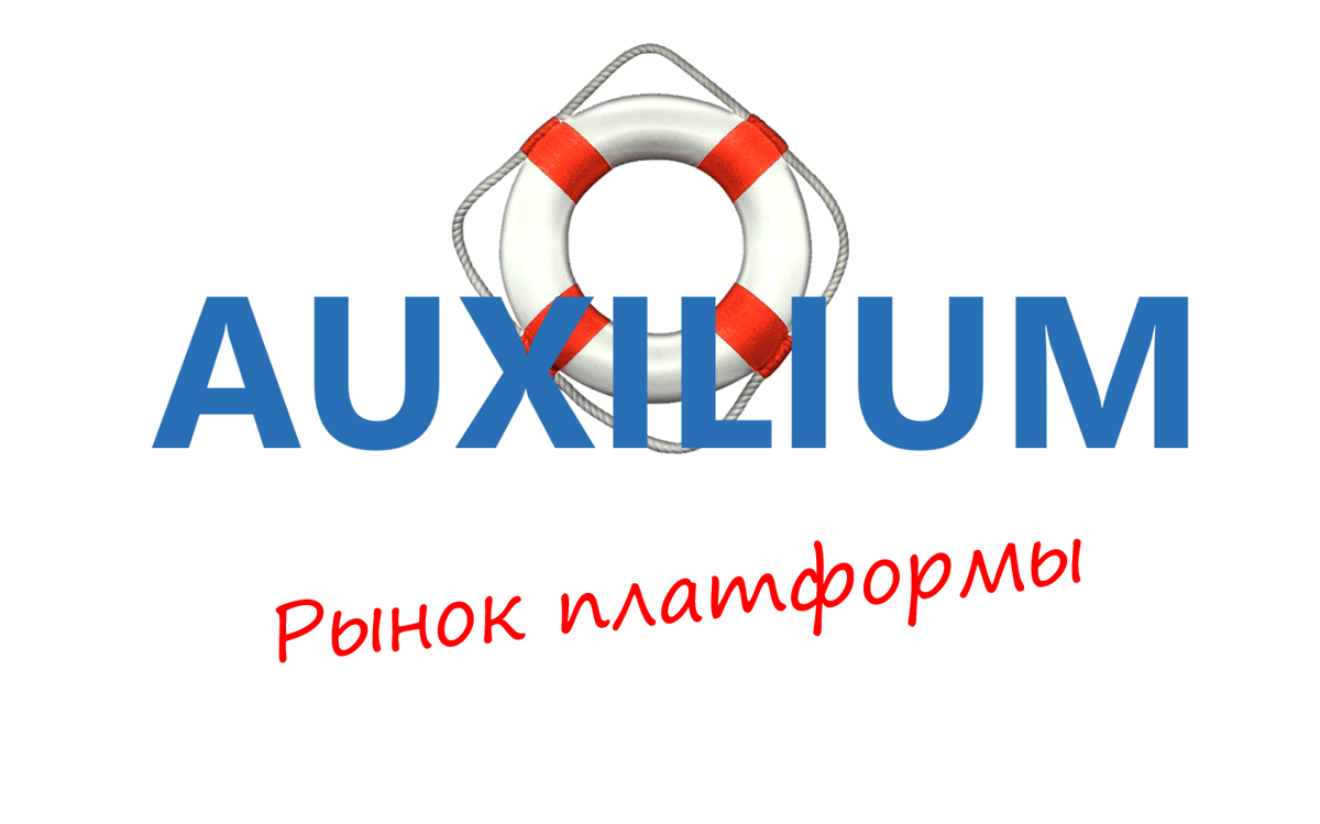Рис. 1. Рыночная ниша проекта Auxilium