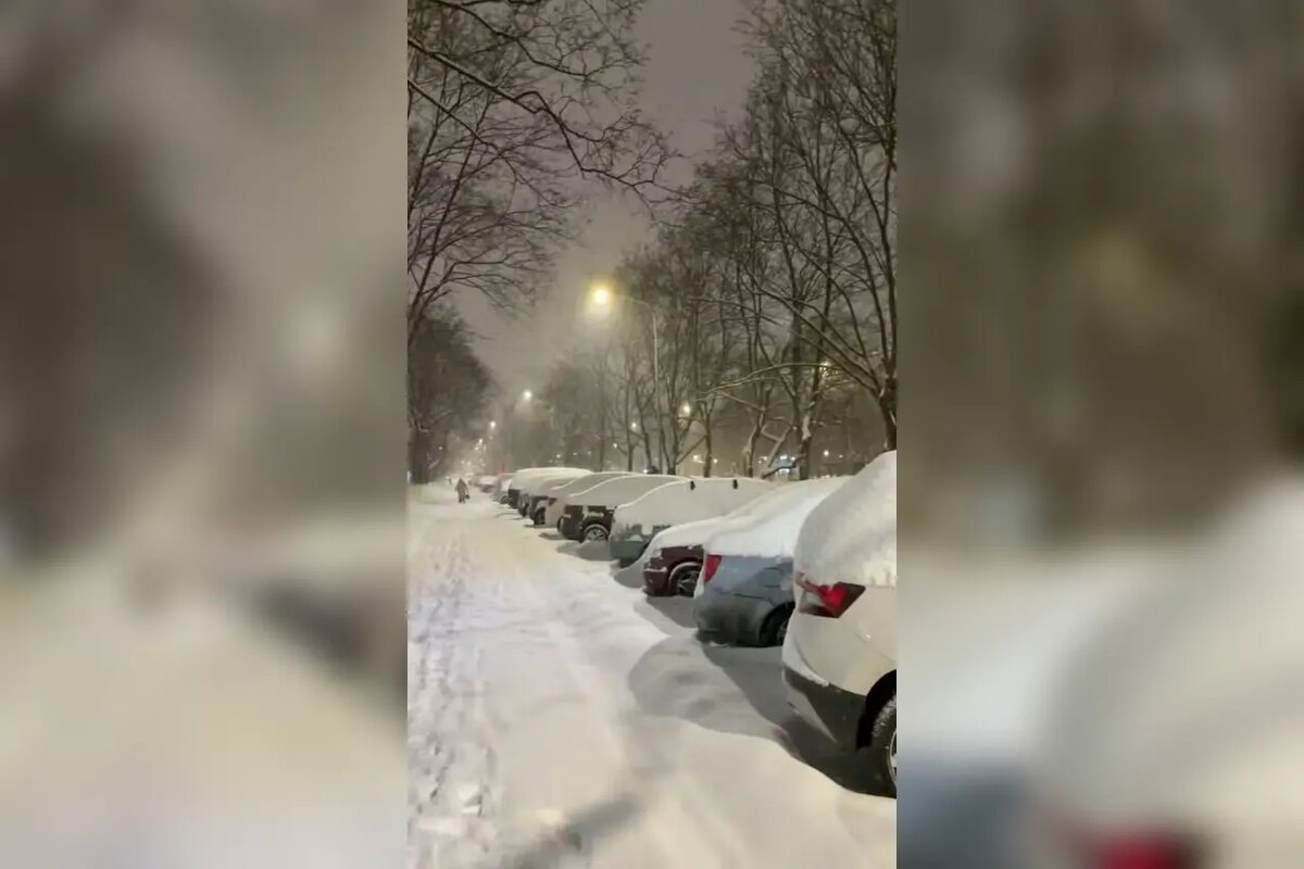    Фото: кадр видео из тг-канала «Москва 24/7»