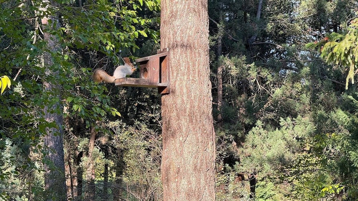   Фото: телеканал «Краснодар»